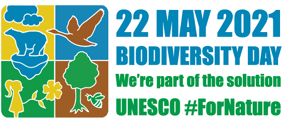 International Biodiversity Day